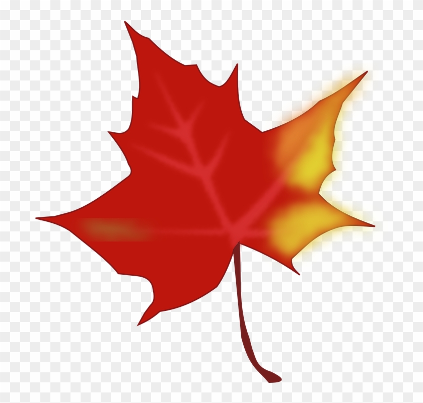 Autumn, Fall, Leaf, Maple Leaf Clipart - Fall Leaves Clipart Free #204040