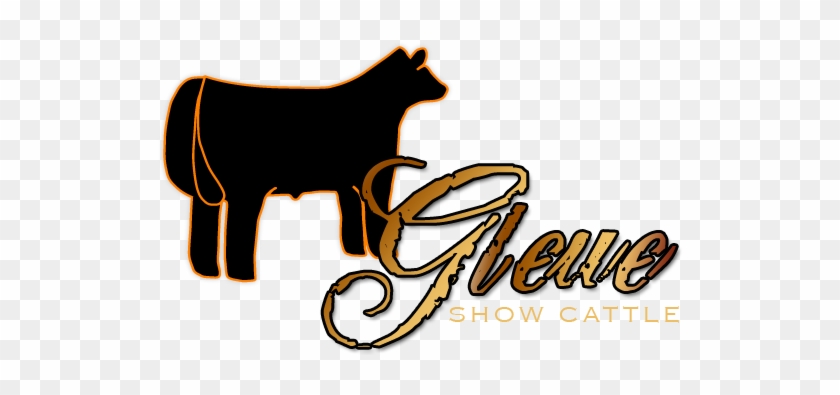 Gleue Show Cattle Welcome Ix4kv3 Clipart - Show Steers Clipart #204055