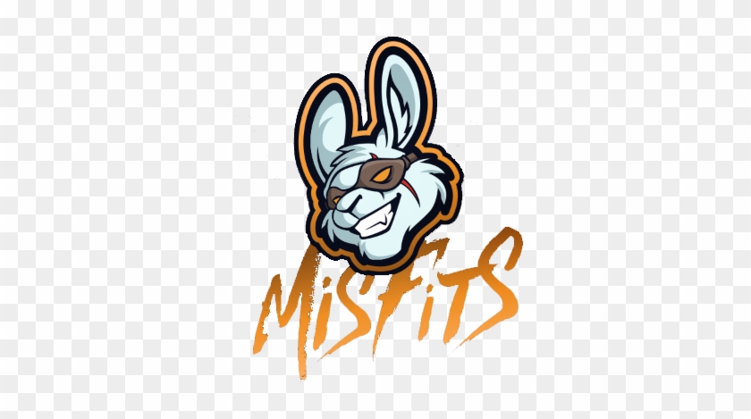 Team Misfits Welcome Back Shahzam To The Active Roster - Misfits Cs Go #204211