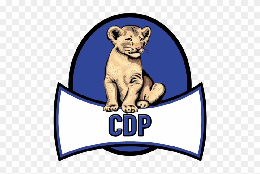Welcome To Our Cdp Team Page - Desert Canyon Middle School #204318