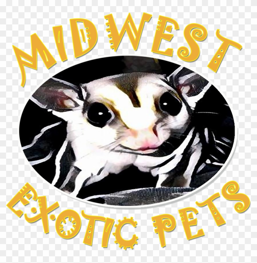 Welcome To Midwest Exotic Pets, Llc - Exotic Pet #204376