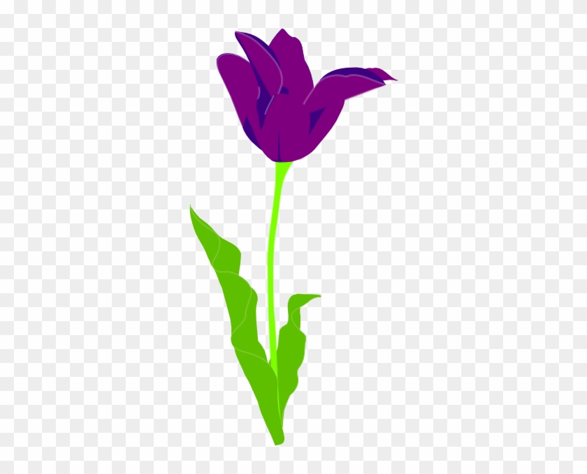 Purple Tulips Clipart #204932