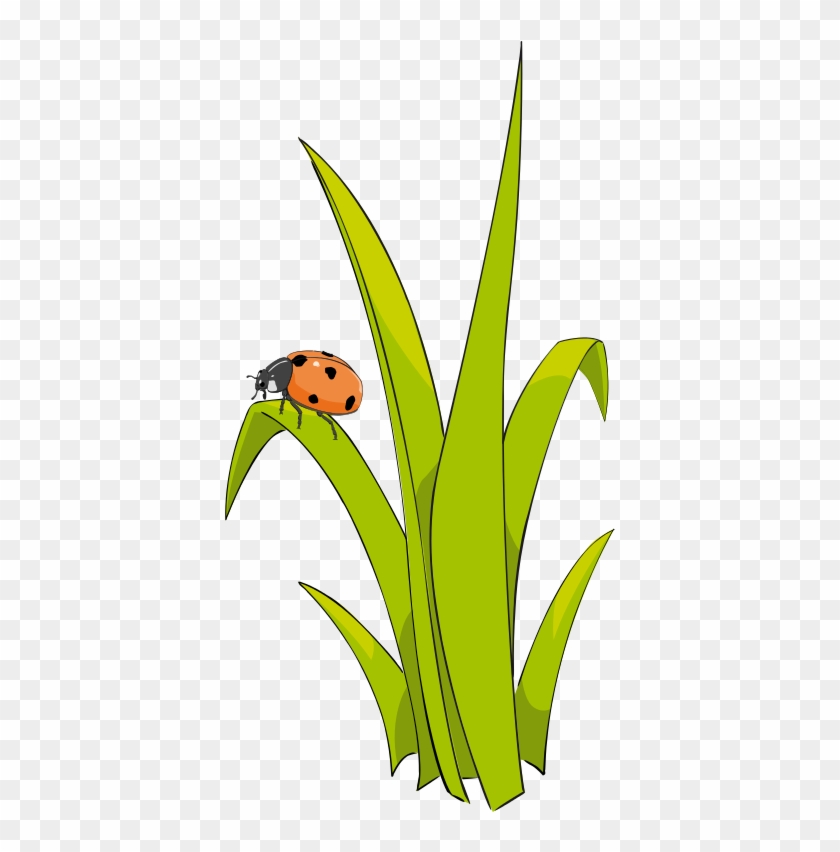 Grass Clip Art 2 Image - Blades Of Grass Clipart #204952