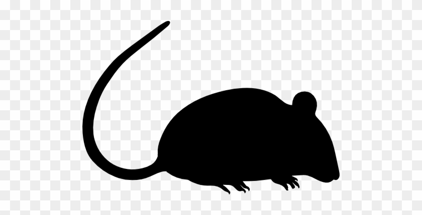 Rat Silhouette Vector - Silhouette Of A Mouse #205061