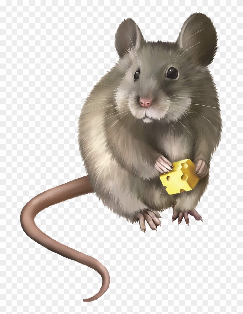 Rat Mouse Rodent Clip Art - Rat Mouse Rodent Clip Art #205174