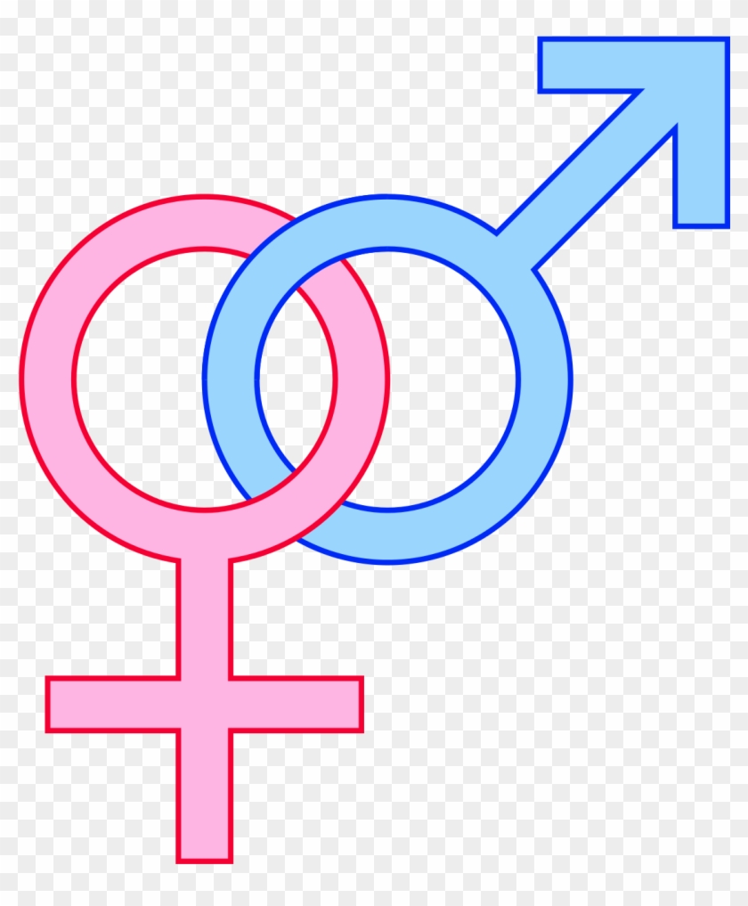 Boy And Girl Gender Signs #205228