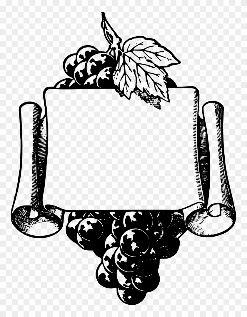 Wine Common Grape Vine Picture Frames Clip Art - Grape Frame #206674