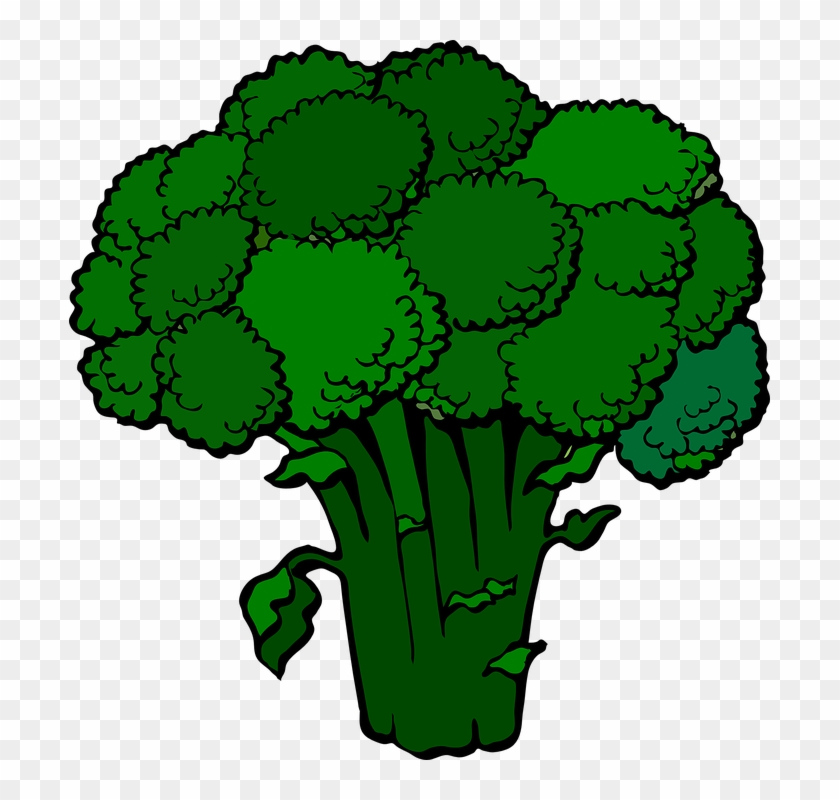 Dark Broccoli Clip Art At Clker Com Vector Clip Art - Broccoli Clipart #206747