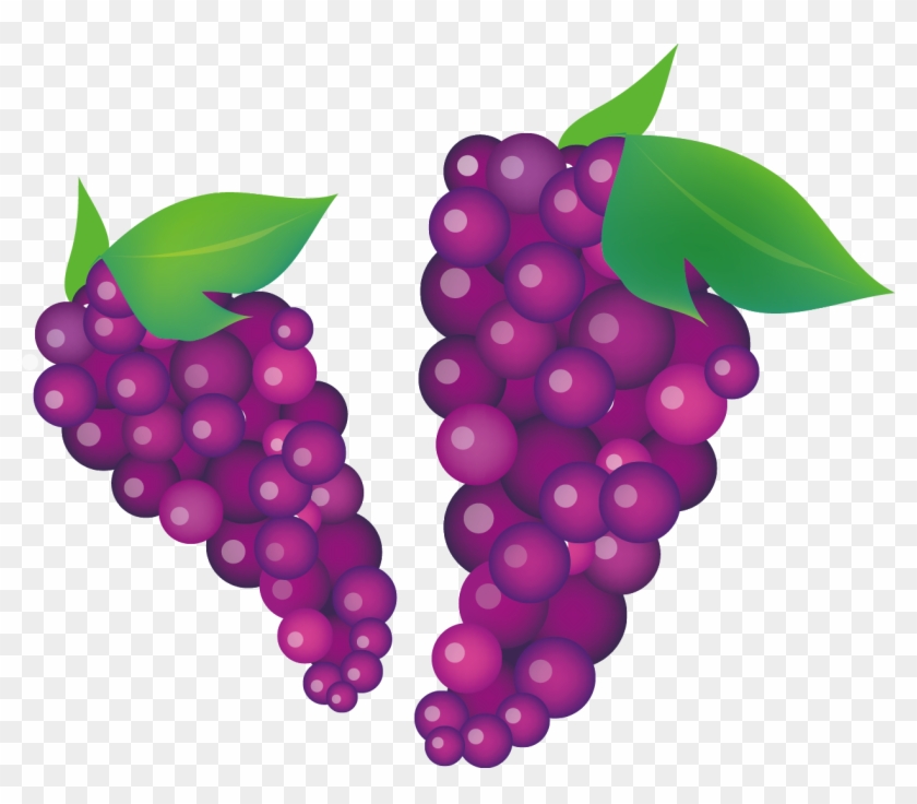 Common Grape Vine Wine Clip Art - Common Grape Vine Wine Clip Art #207341