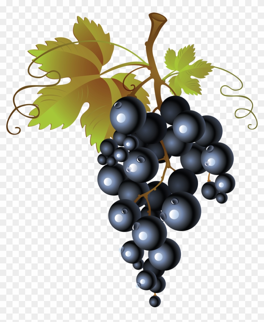 Grape Png Image, Free Picture Download - Dessin Grappe De Raisin #207313