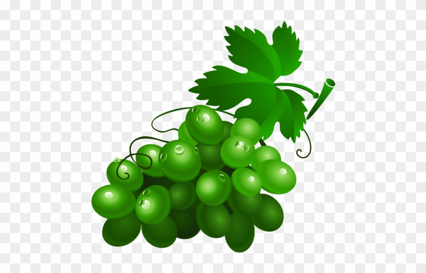 Wine Grape Drawing Fruit Clip Art - Green Grapes Cartoon #207352