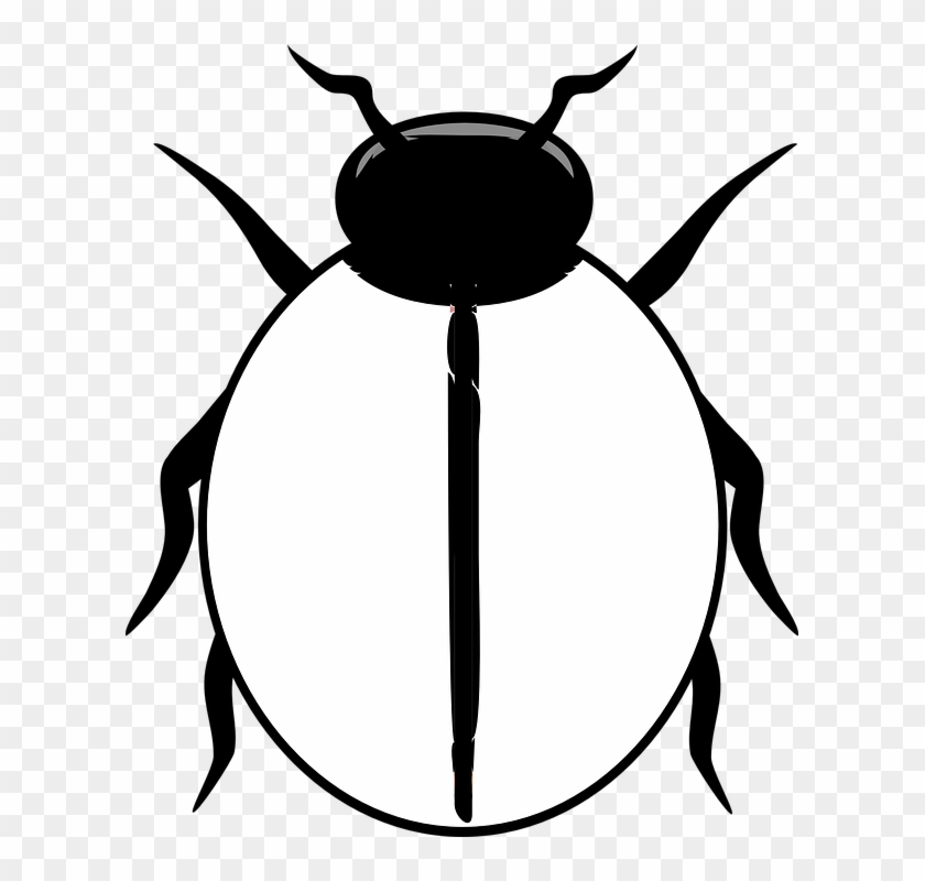 Ladybug Clipart Blank - Black And White Ladybird #207562