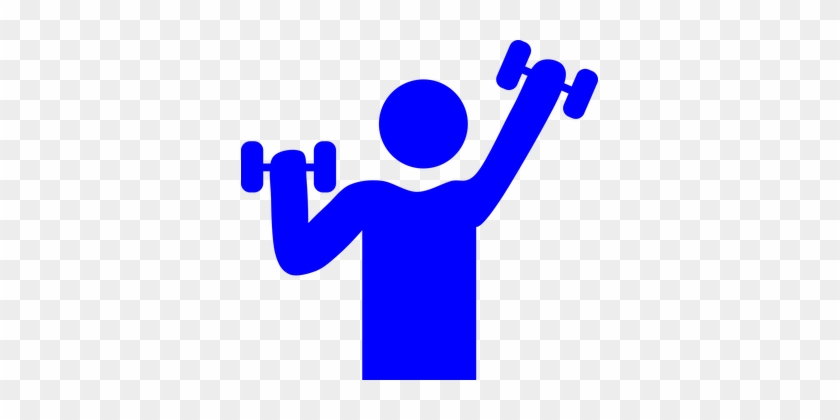Gym Weight Lifting Muscle Exercise Fitness - Gym Clipart #207641