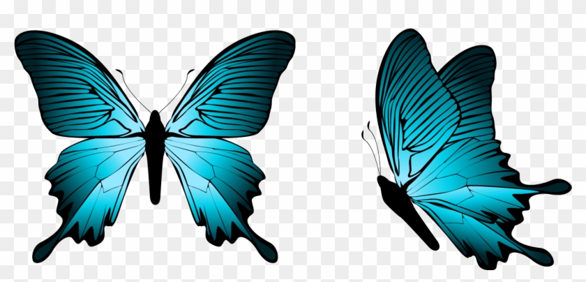 Blue Butterfly Clipart Png Clipartxtras - Png Butterfly Blue #207727