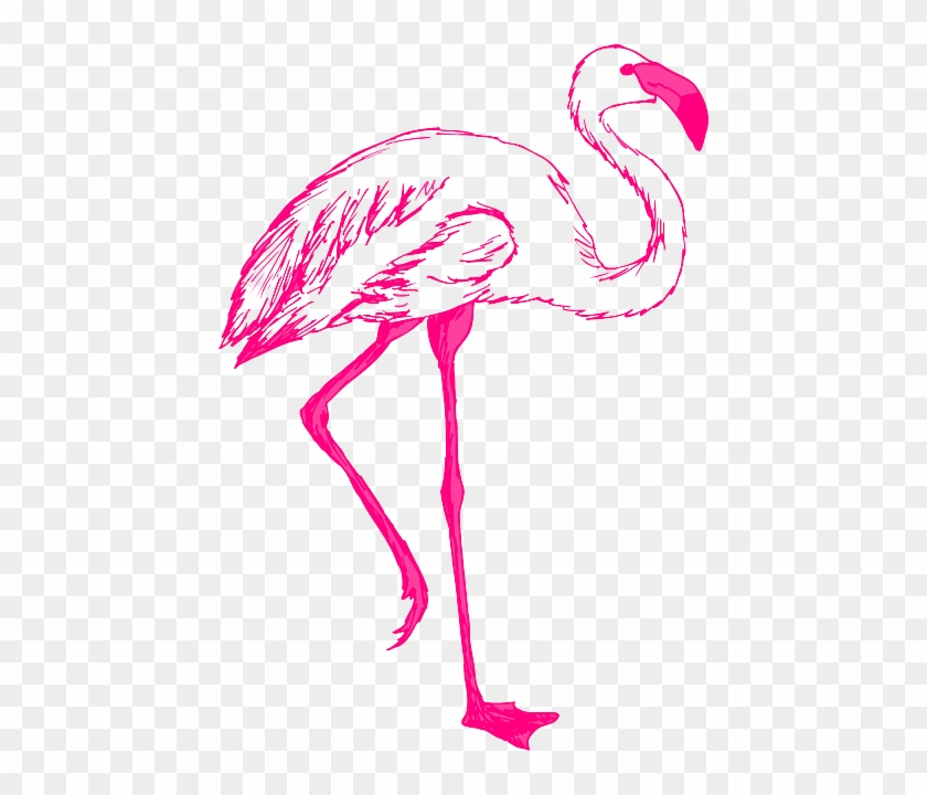 Outline, Pink, Bird, Wings, Art, Flamingo, Long, Animal - Flamingo Clipart #1309837
