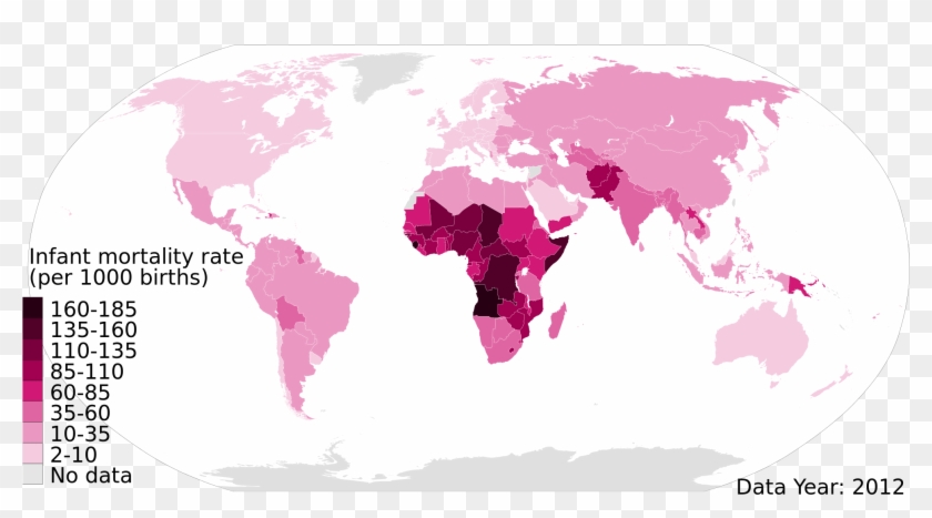 2012 Infant Mortality Rate Per 1000 Live Births, Under-5, - 2012 Infant Mortality Rate Per 1000 Live Births, Under-5, #1310146