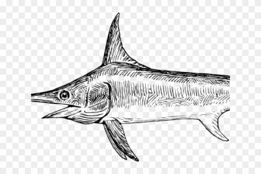 Swordfish Clipart - Swordfish #1310736