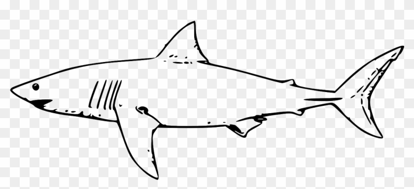Shark Fish Great White Shark Png Image - Sharks Clipart Black And White #1311095