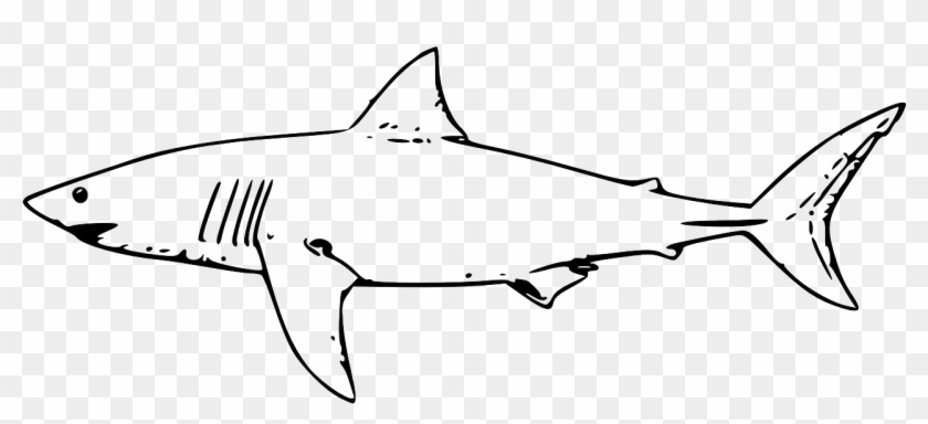 Shark Fish Great White Shark Png Image - Sharks Clipart Black And White #1311095