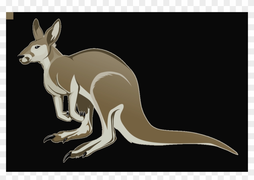 Kangaroo Clipart - Clip Art #1311331