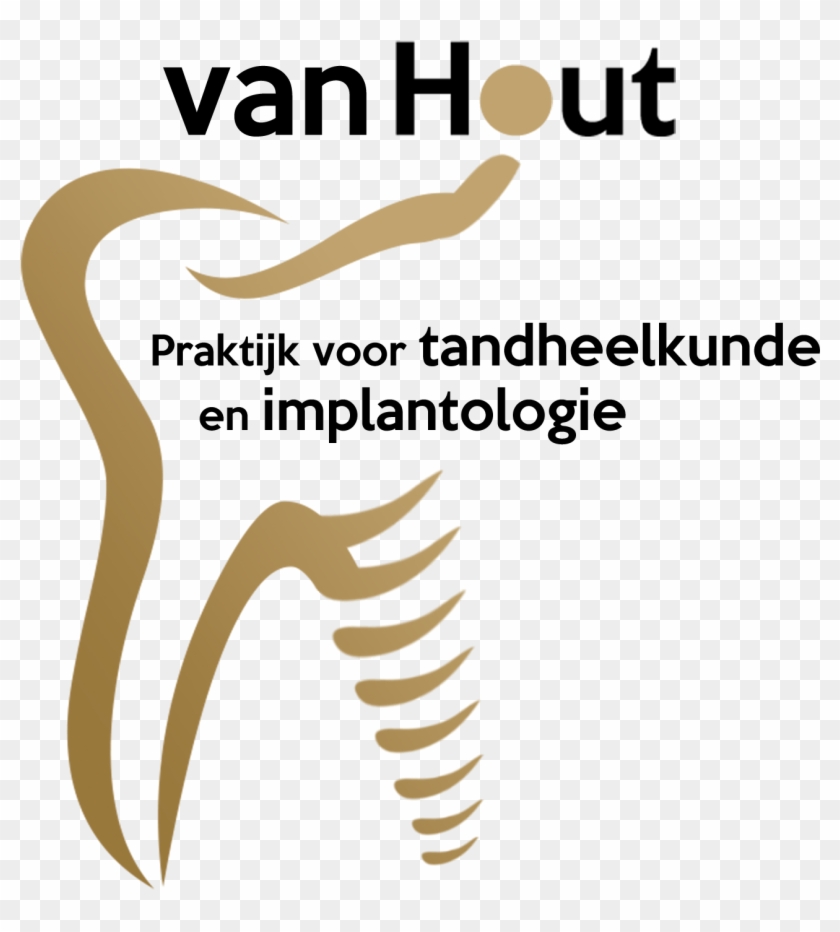 Van Hout In Schijndel - Dentist #1311549