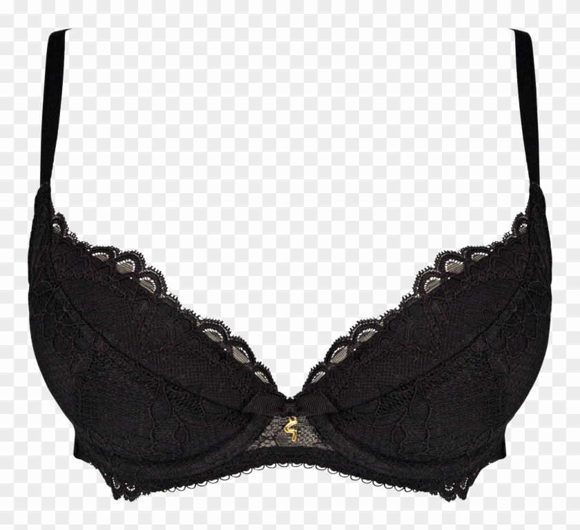 Lace Bra PNG Transparent Image