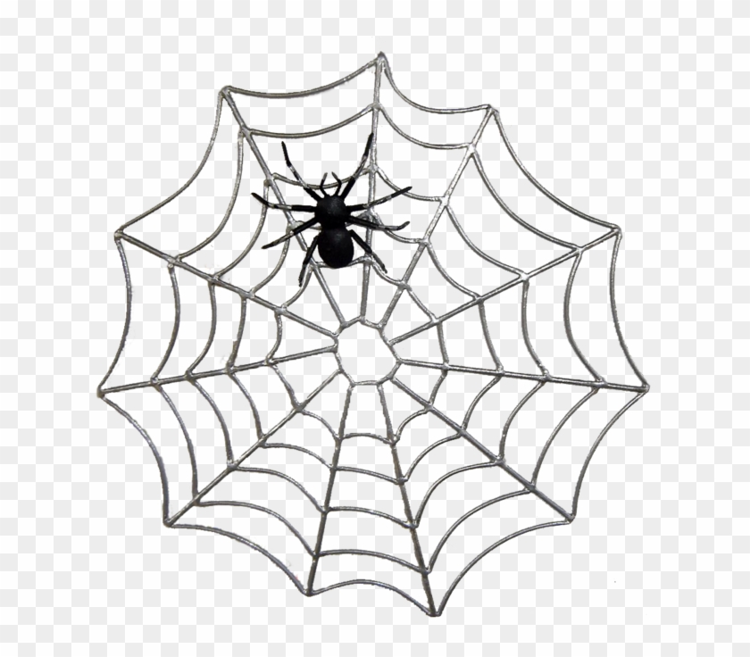 Imagem12 - Spider Web Cartoon Png - Free Transparent PNG Clipart Images  Download