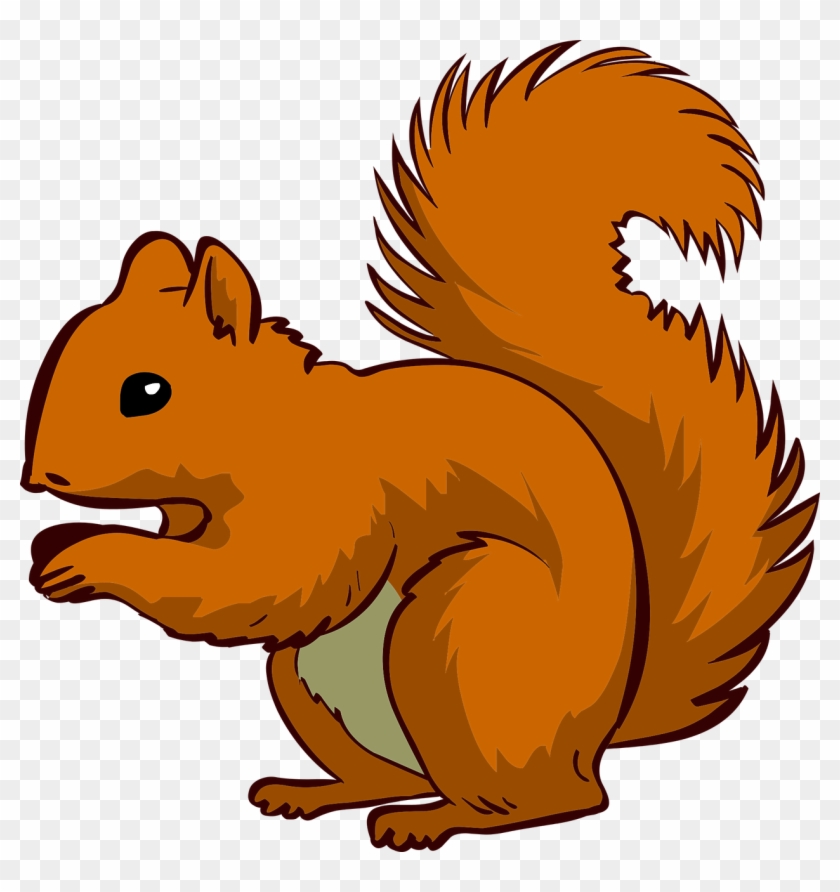 Squirrel Chipmunk Clip Art - Squirrel Clipart #1312107
