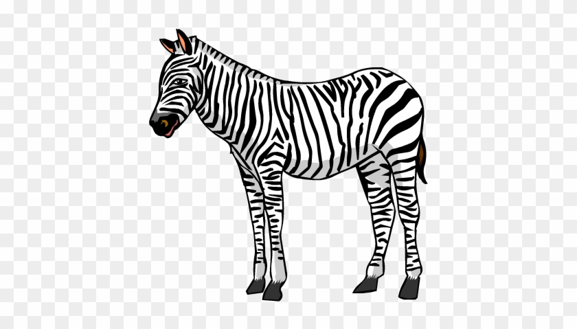 You're Going To Investigate Pushing And Pulling - Zebra #1312116