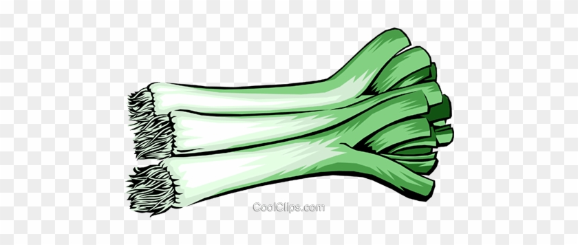 Leek Clipart - Leeks Illustration Png #1312122