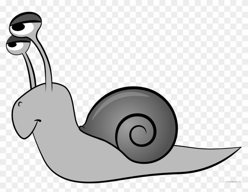 Cartoon Snail Animal Free Black White Clipart Images - Snail Png Cartoon #1312183