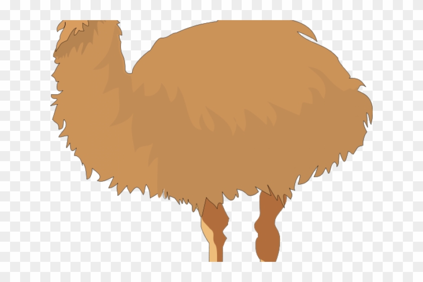Emu Clipart Ostrich - Emu #1312327