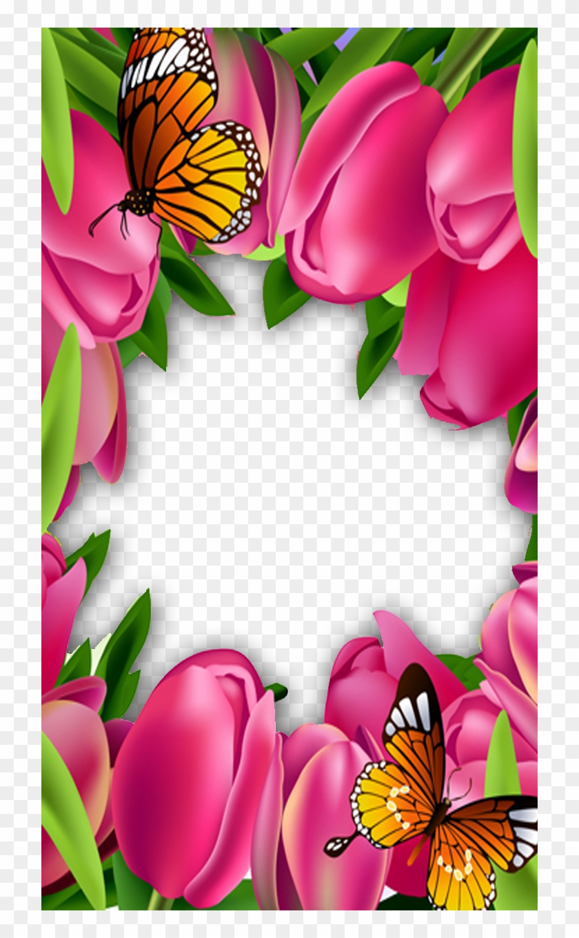 Frame For Photo With Beautiful Pink Roses Psd Png Download - Butterfly Rose Flower #1312345