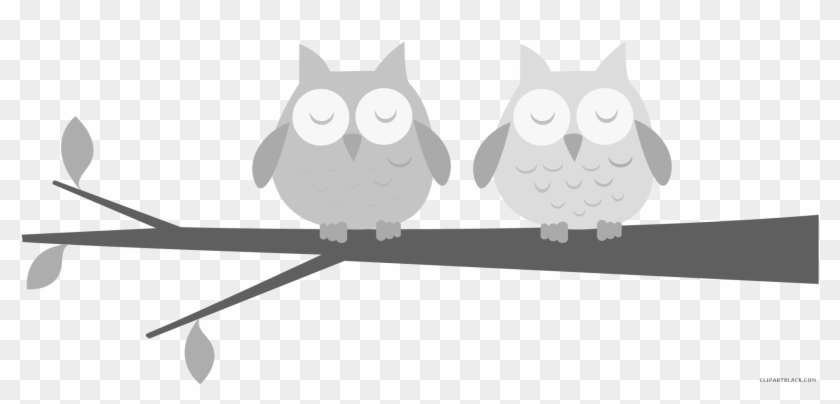 Awesome Owl Animal Free Black White Clipart Images - Owl On A Branch Clipart #1312351