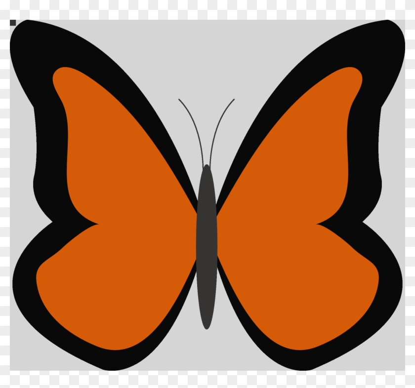 Orange Color Clipart Color Orange Clipart - Butterfly Clip Art Orange #1312855