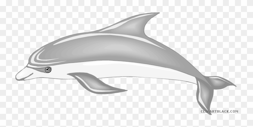 Cute Dolphin Animal Free Black White Clipart Images - Dolphin #1312865