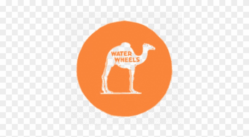 Campbell Water Wheel Company Water Wheels, Dams, Hydro - Arabian Camel #1312945
