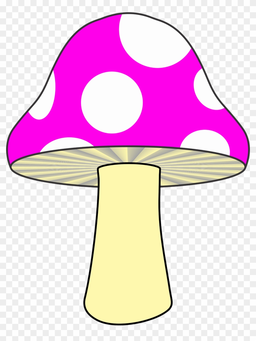 Mushroom Nature Mushroom Pink Png Image - Pink Mush Room #1313054