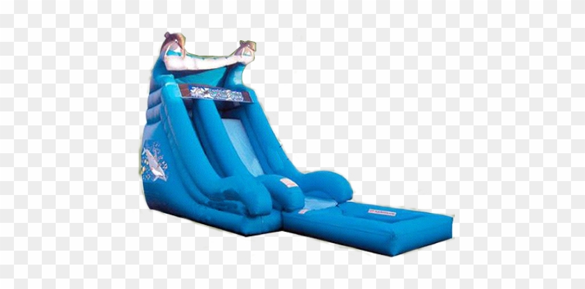 Dolphin Water Slide - Water Slide Rentals Oahu #1313173