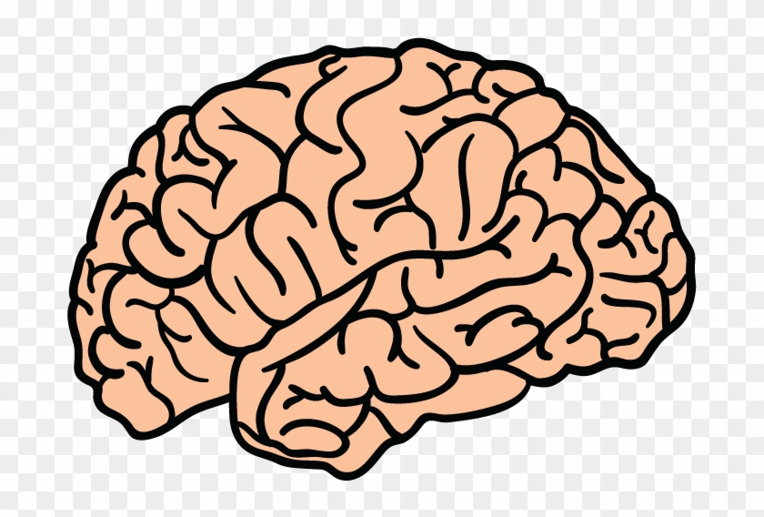 Blue Brain Project Human Brain Clip Art - Brain Png #1313217