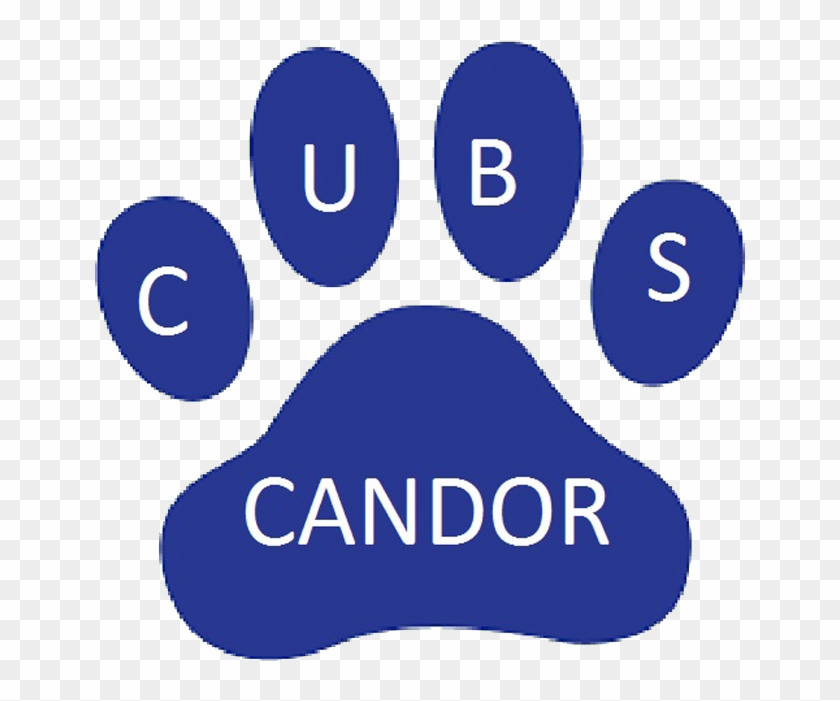 Candor Elementary School - Candor Elementary School Nc #1313443