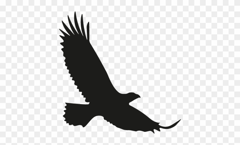 Eagle Clip Art Black And White #1313623