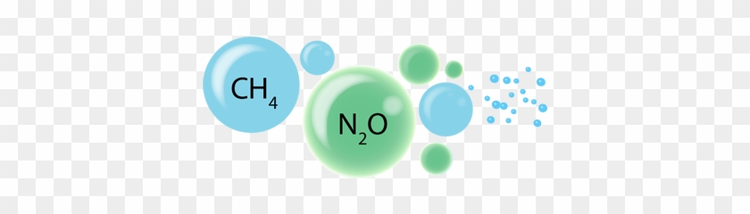 Oceanic Methane & Nitrous Oxide Workshop - Professor #1313948