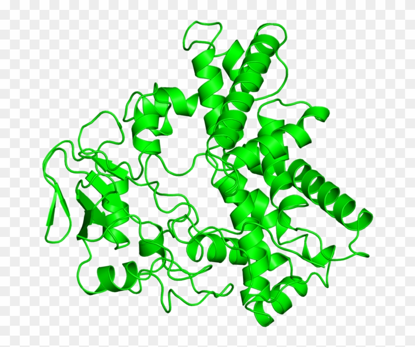 <div Class='caption-body'>1 Copy Of Cath Domain - <div Class='caption-body'>1 Copy Of Cath Domain #1313963