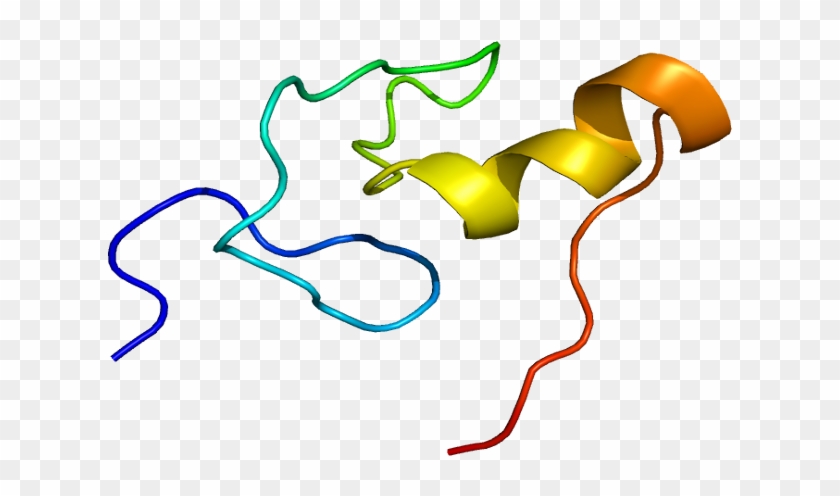 Anemia Wikipedia,red Blood Cell Indices Pcv Mcv Mchc - Factor De Transcripcion Gata 1 #1314031