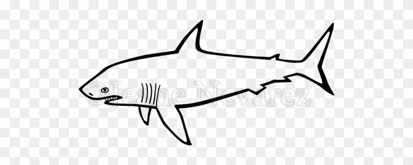 Shark - Black And White Shark #1314099