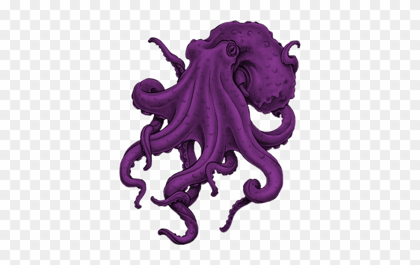 Octopus - - Illustration #1314441