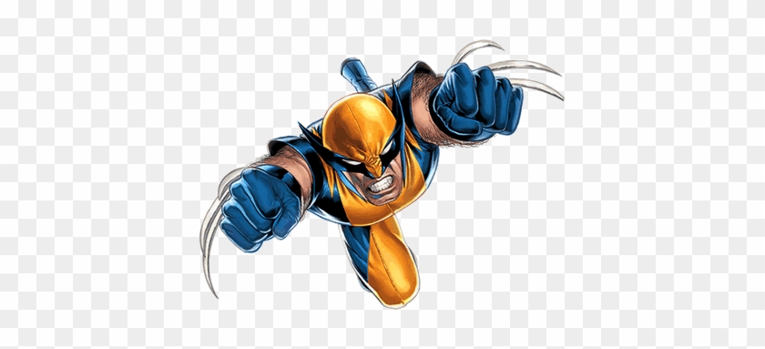 Wolverine Clip Art - Trichobatrachus Robustus #1314757