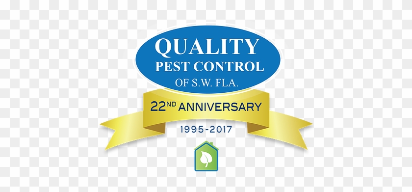 We Believe Our Pest Control Will Be Part Of A Green, - Termite #1315044