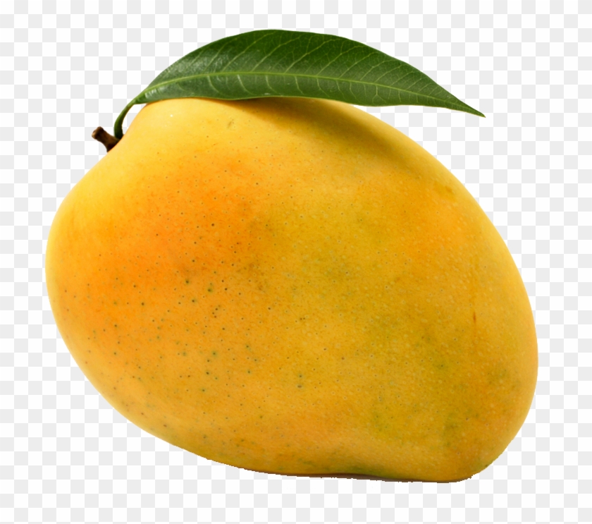 Fruits Mango #1315047